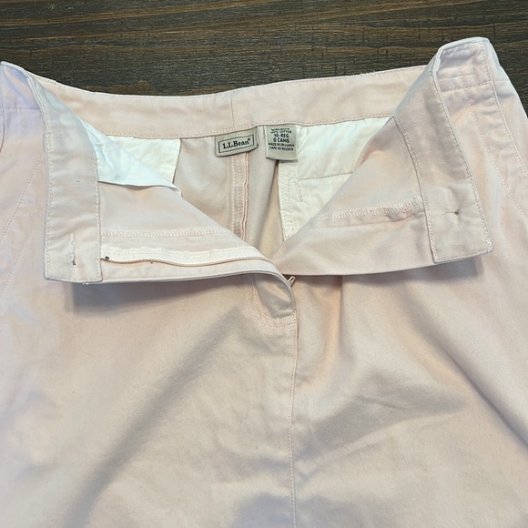 L.L. Bean Women’s size 10 regular light pink skirt - Picture 5 of 7